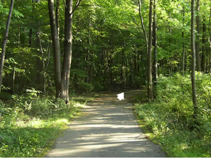 nature walk
